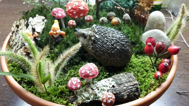 meu jardim de fadas em miniatura