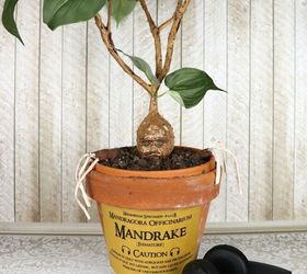  Tutorial Mandrake: Um projeto DIY de Harry Potter ou Halloween assustador