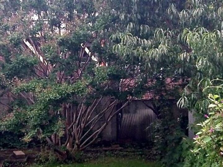 q best way to prune this crape myrtle