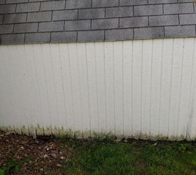 how do i repair the rotting siding on my shed without replacing it