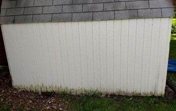 How do I repair the rotting siding on my shed without replacing it?
