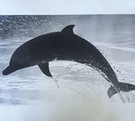 seaglass dolphin shadow box