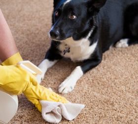 q what is the best way to clean pet hair from wood floors