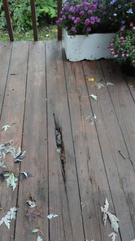 should my deck be growing mushrooms