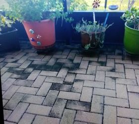 how do i clean brick pavers on an enclosed screened patio