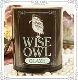Wise Owl Glaze