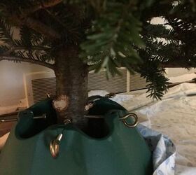 christmas tree trunk coasters