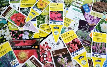 Organiza las etiquetas de tus plantas de jardín para facilitar la referencia y la plantación de otoño
