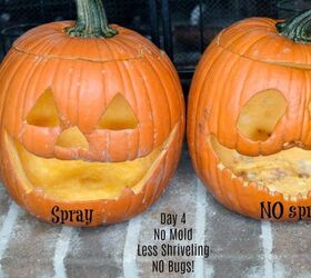 Homemade Carved Pumpkin Preserving Spray – No Bleach!