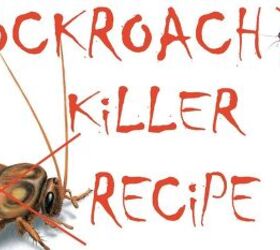 how to get rid of cockroaches home remedies