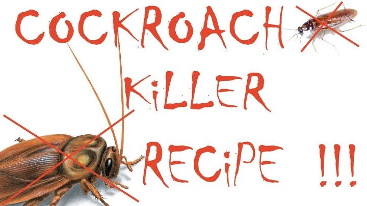 how to get rid of cockroaches home remedies