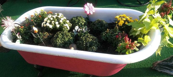 q ow to keep my pink cast iron tub wintertime plant pretty in memphistn