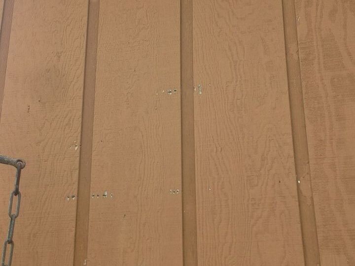 q how do i prevent woodpeckers and sapsuckers for eating my house