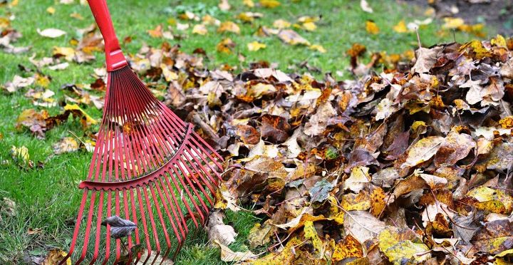 s 15 ways to get your home ready for winter, Do these gardening tasks before winter