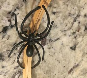 inexpensive halloween project to do with the little ones, I used a large Black spider