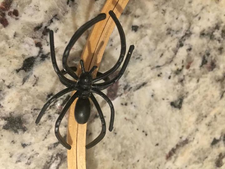 inexpensive halloween project to do with the little ones, I used a large Black spider
