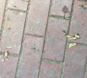 q how do i remove polymeric sandthat dried on our brick pavers