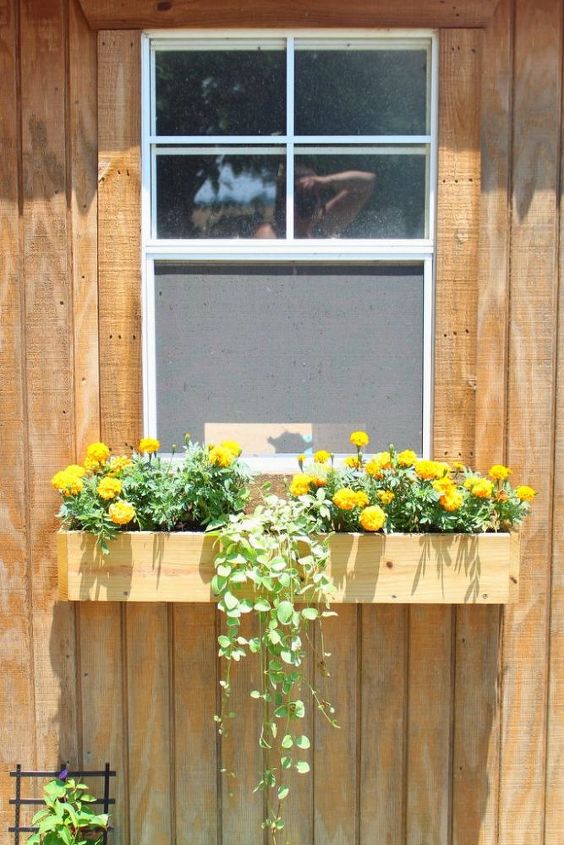 cmo construir una jardinera para un cobertizo de jardn un cobertizo para ella o un