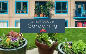 Consejos para la jardinería en espacios pequeños