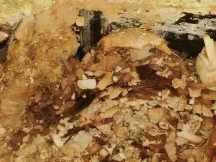q please can anyone tell me what has caused this in my kitchen