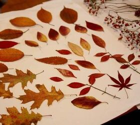 how i preserve leaves with furniture wax, Just a few of this season s Autumn leaves