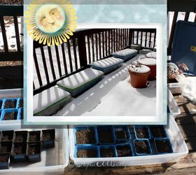 better winter sowing seed trays in storage bins outdoors, Winter Sowing extends you planting season