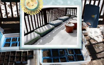 Mejor siembra de invierno - Bandejas de semillas en cubos de almacenamiento al aire libre