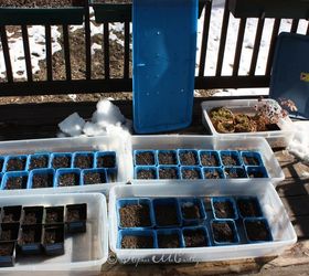 better winter sowing seed trays in storage bins outdoors, All sizes of bins will work for this project