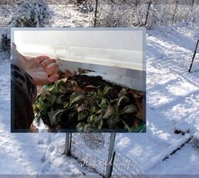 better winter sowing seed trays in storage bins outdoors, Hardy plants thrive with winter protection