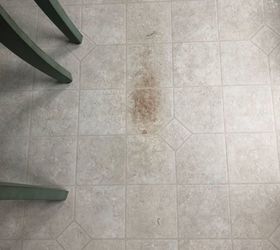 how do i remove stains on my linoleum