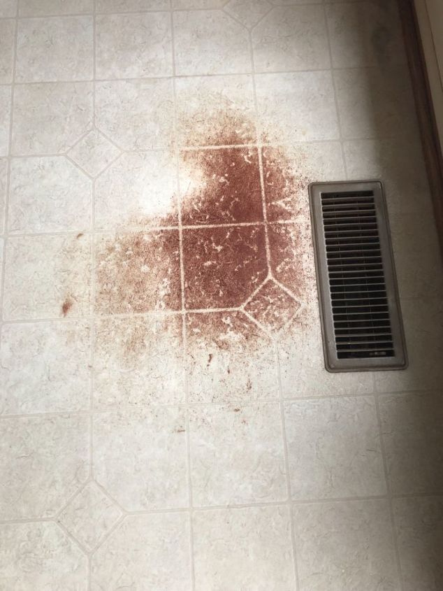 how do i remove stains on my linoleum