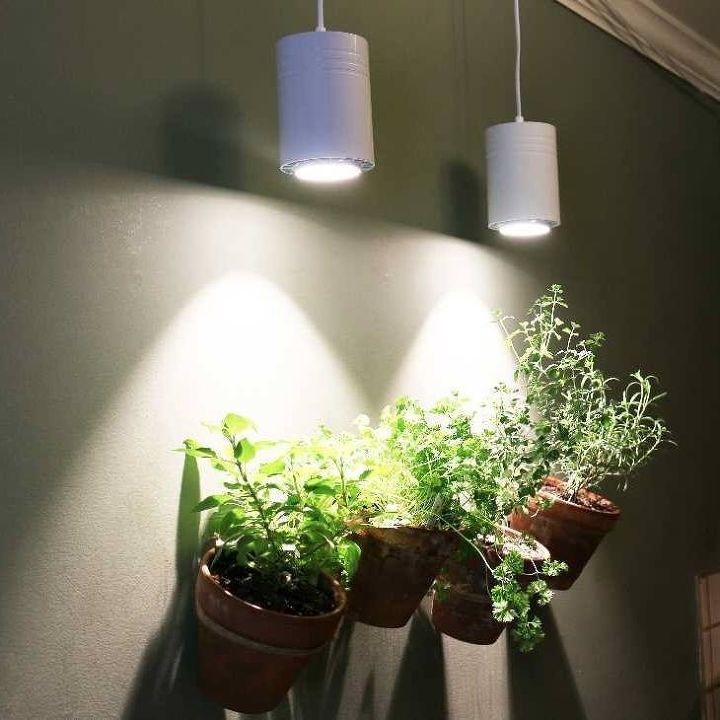 how do i make attractive plant lights