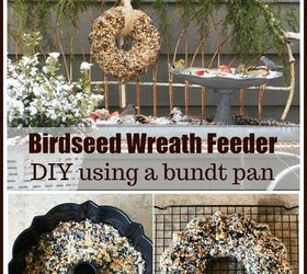 trim a tree and feed the birds with suet ornaments