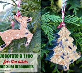 trim a tree and feed the birds with suet ornaments