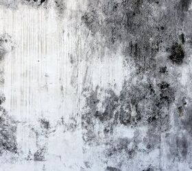 q how to clean black mold