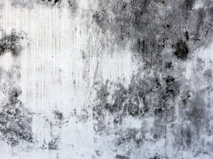 q how to clean black mold