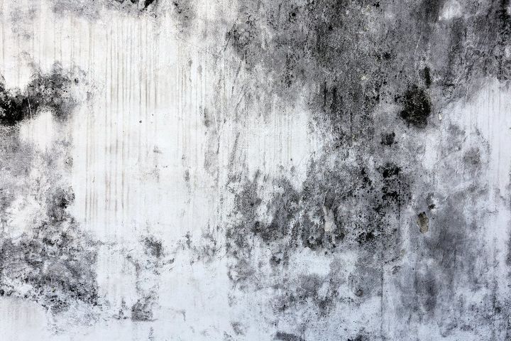 q how to clean black mold