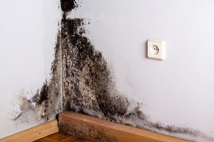 q how to clean black mold