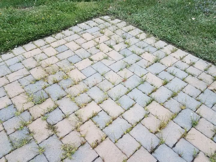What Kills Grass And Weeds Permanently Hometalk What Kills Grass And Weeds Permanently, Does Roundup Kill Grass Forever
