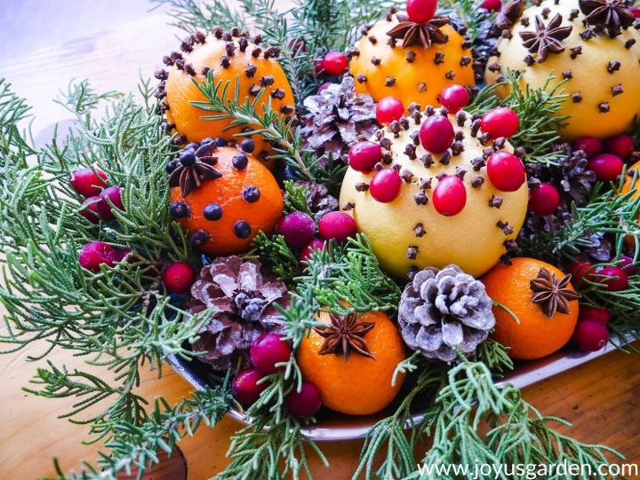 decoraes de natal caseiras naturais com frutas ctricas e especiarias