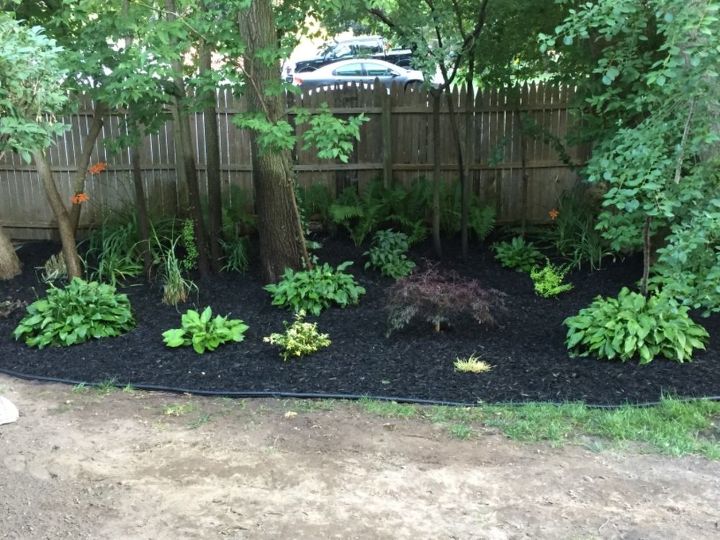 q what plants can cover up a 6 ft fence but is in area with little sun