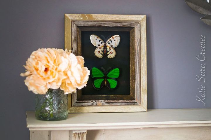 diy faux butterfly taxidermy display