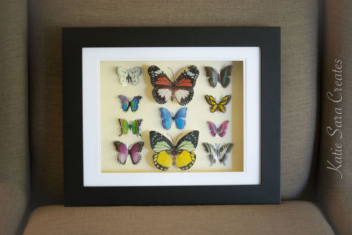diy faux butterfly taxidermy display