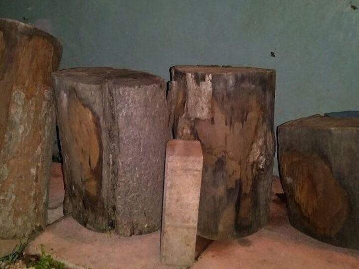 q tree trunks 4 pieces what to do with