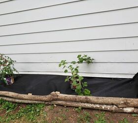 how to use logs as edging for plants make a wall trellis, Adding landscaping fabric
