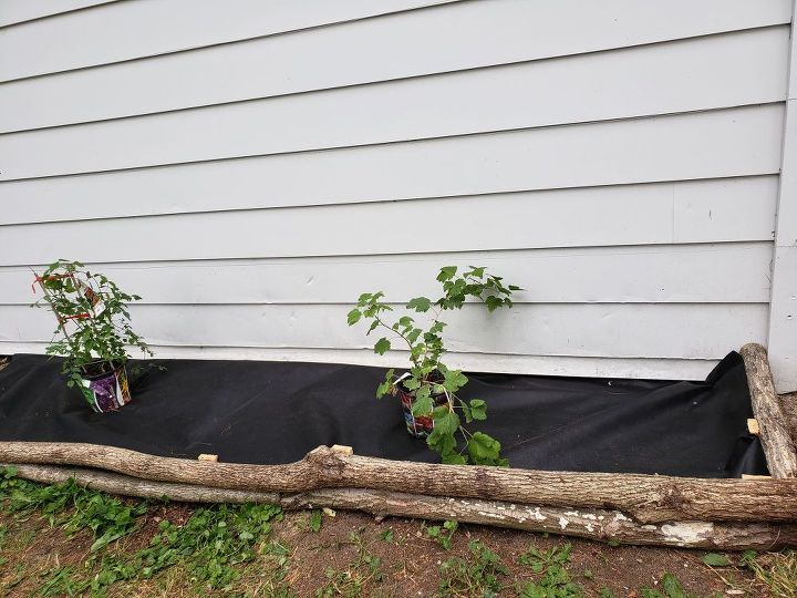 how to use logs as edging for plants make a wall trellis, Adding landscaping fabric