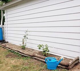 How to Use Logs as Edging For Plants & Make a Wall Trellis