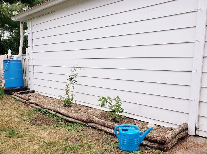 how to use logs as edging for plants make a wall trellis, DIY log edging and wall trellis