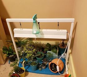 a better place for my plants