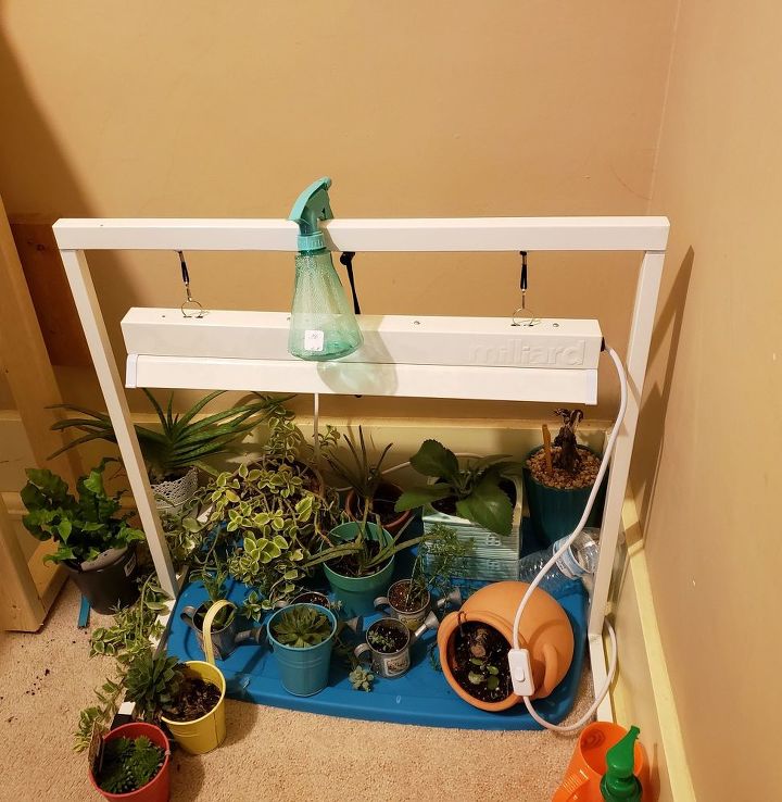 un lugar mejor para mis plantas